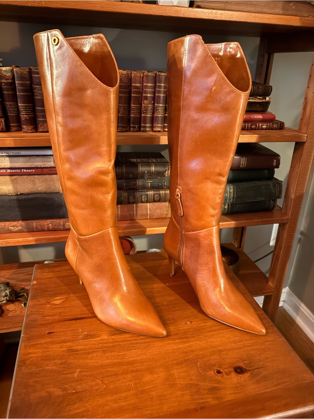 Louise et Cie Kamil Leather Pointed Toe Tall Shaft Tan Leather Pointed Boots